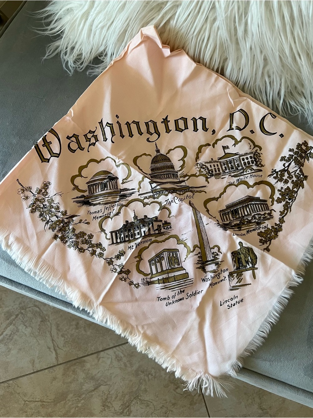 Vintage Washington D.C. Decorative Scarf  in Light Pink